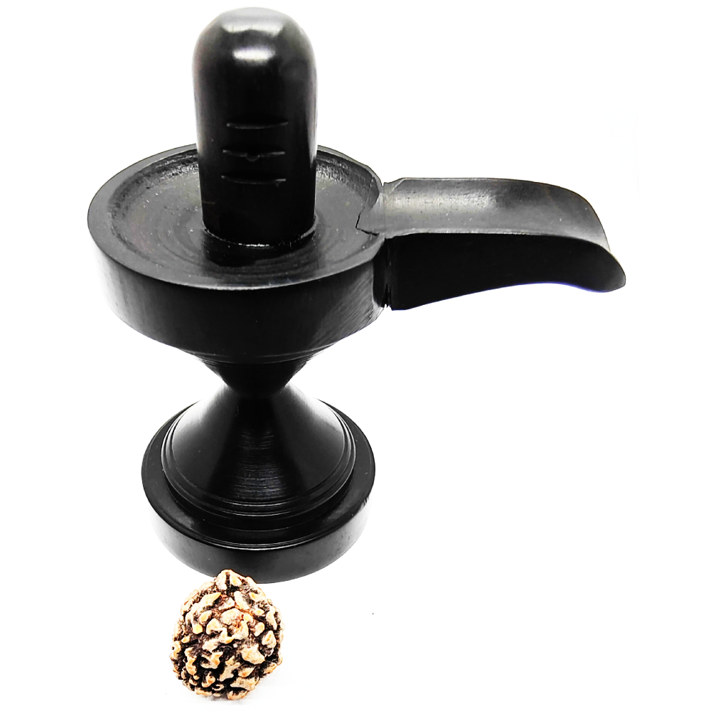 Buy 3 Mukhi Rudraksha (Teen Mukhi) With Certificate - Image 5