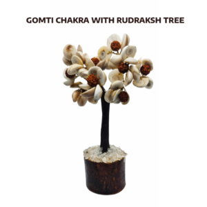 Natural Gomati Chakra with Rudraksha (54 Beads)