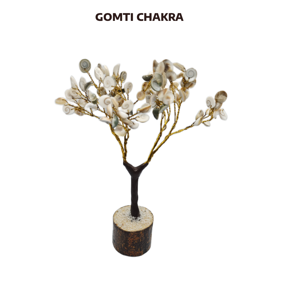 Buy Authentic Gomati Chakra Tree - Image 2