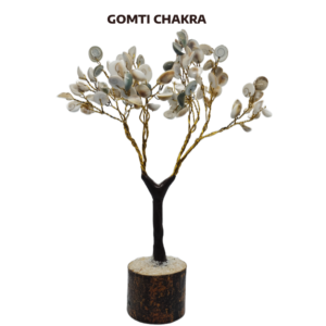 Buy Authentic Gomati Chakra Tree