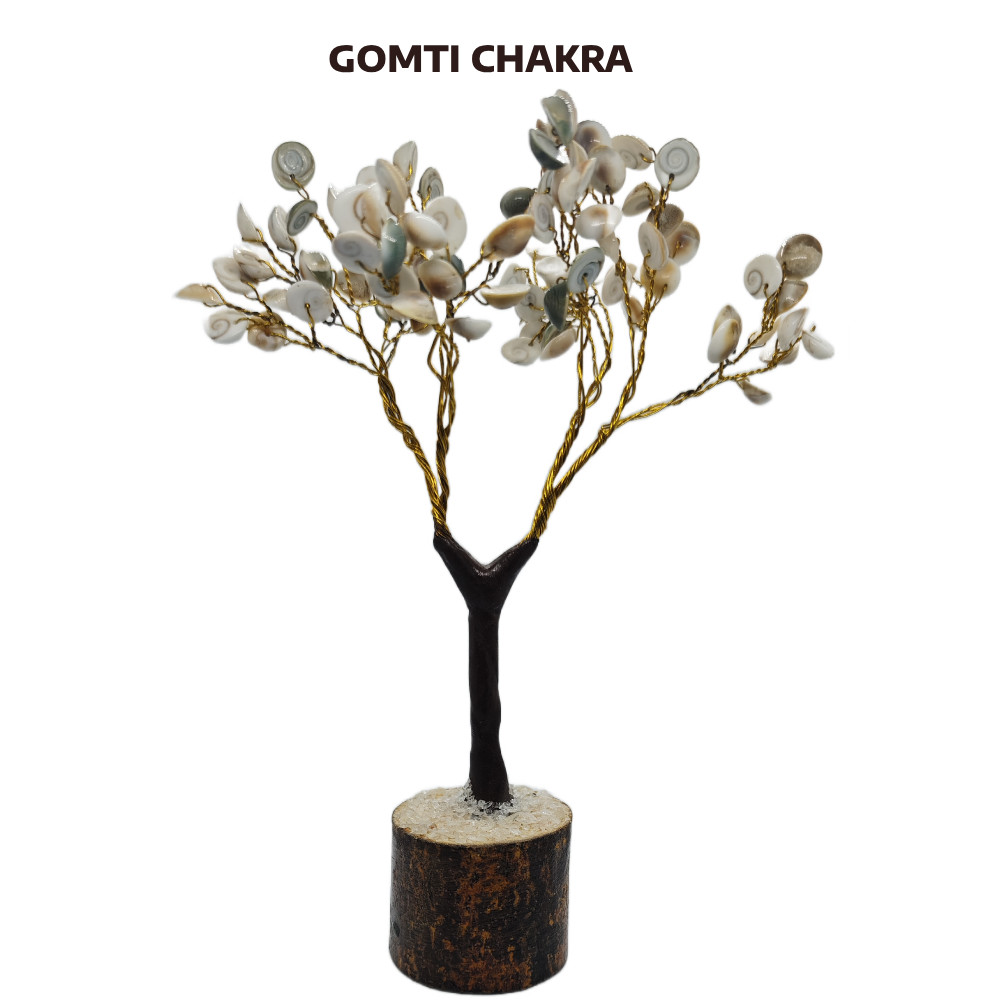 Buy Authentic Gomati Chakra Tree